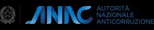 banner anac